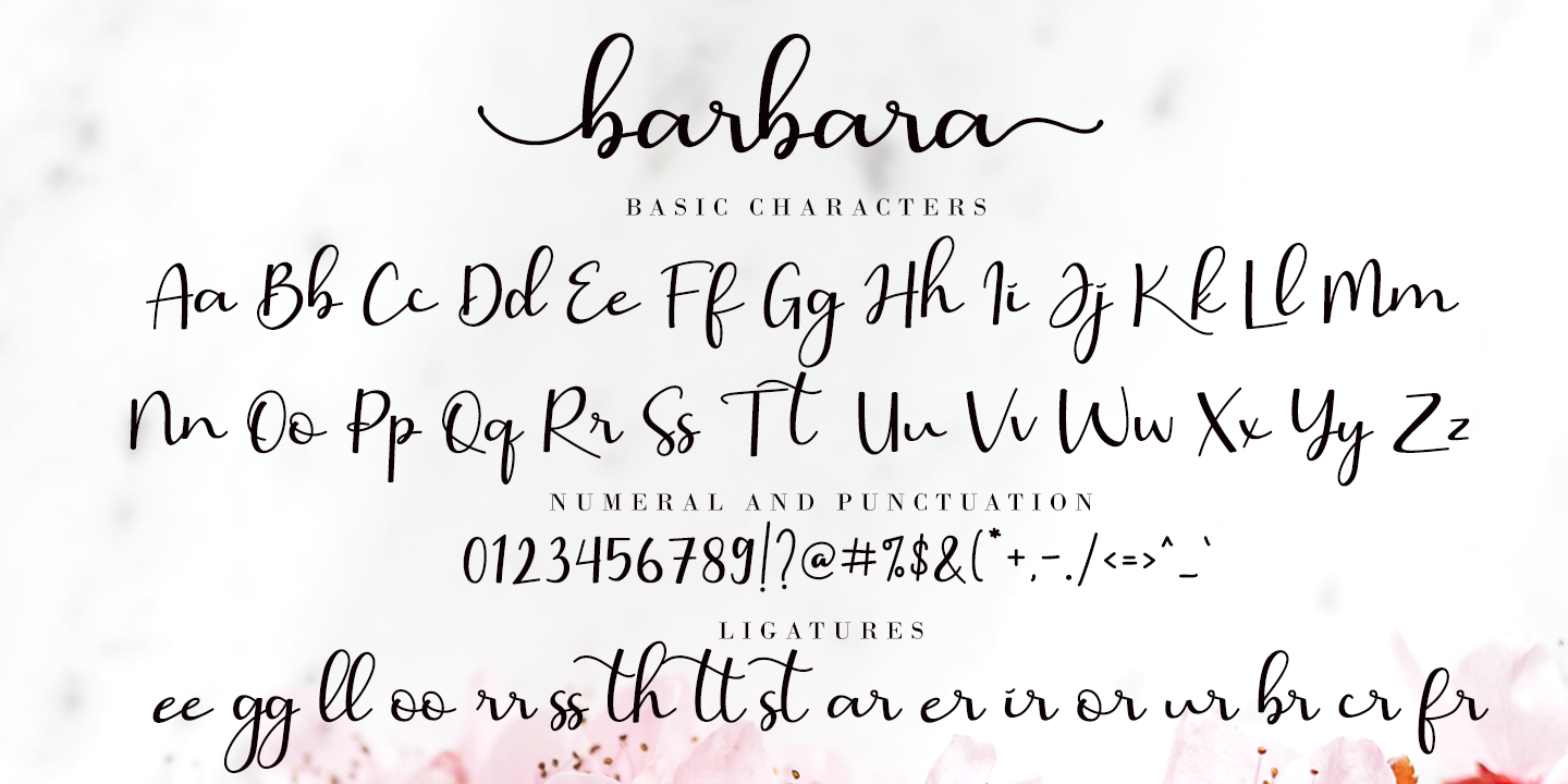 Ejemplo de fuente Barbara Calligraphy Regular